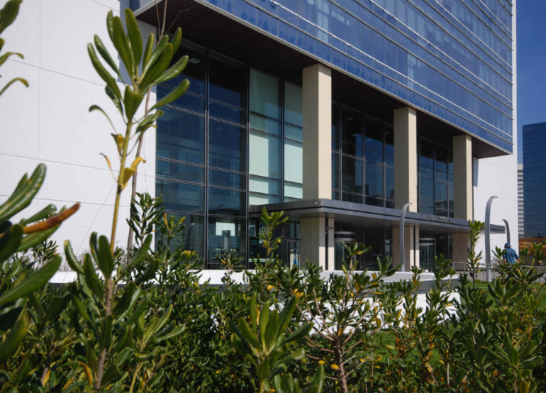 Madero Office